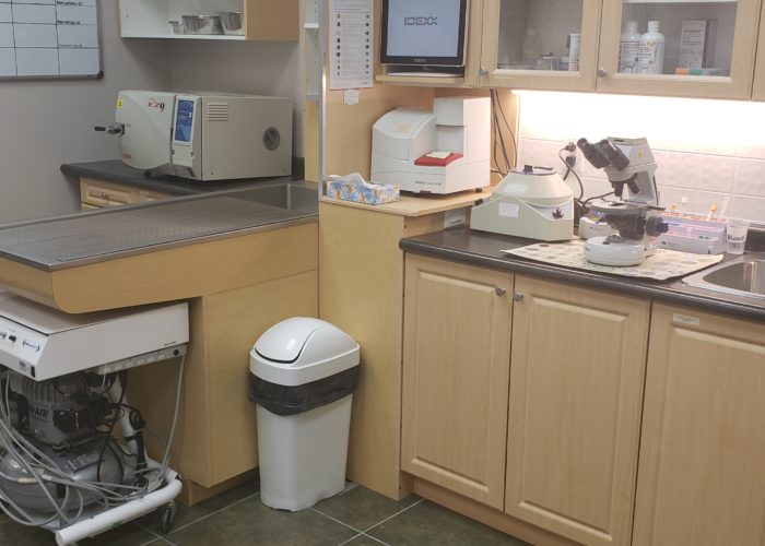 Lab
